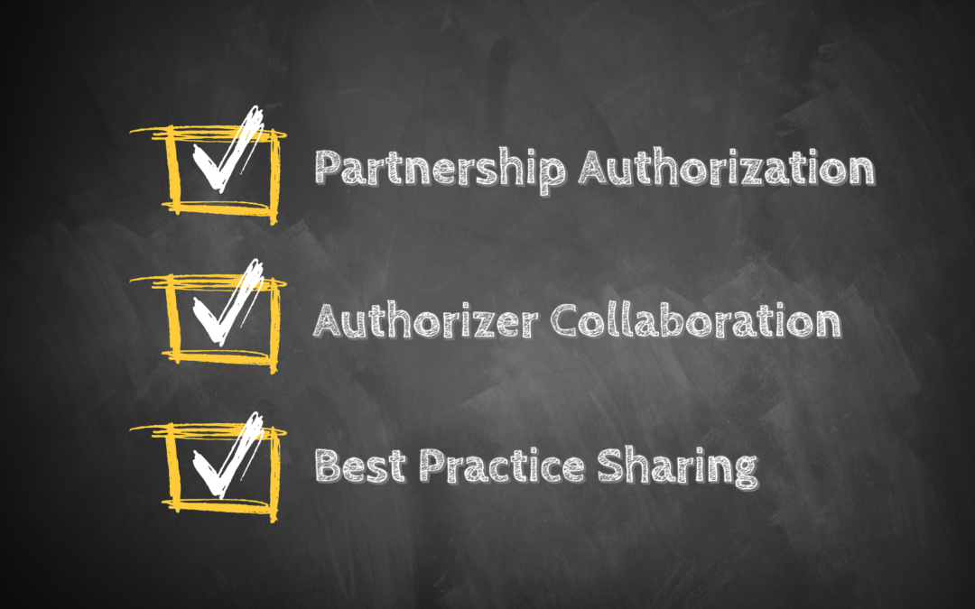 Model Authorizing: Sharing Best Practices