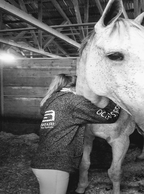 mckenna horse 2 mckenna horse 2