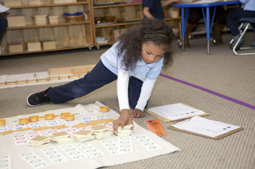 Young girl student learning