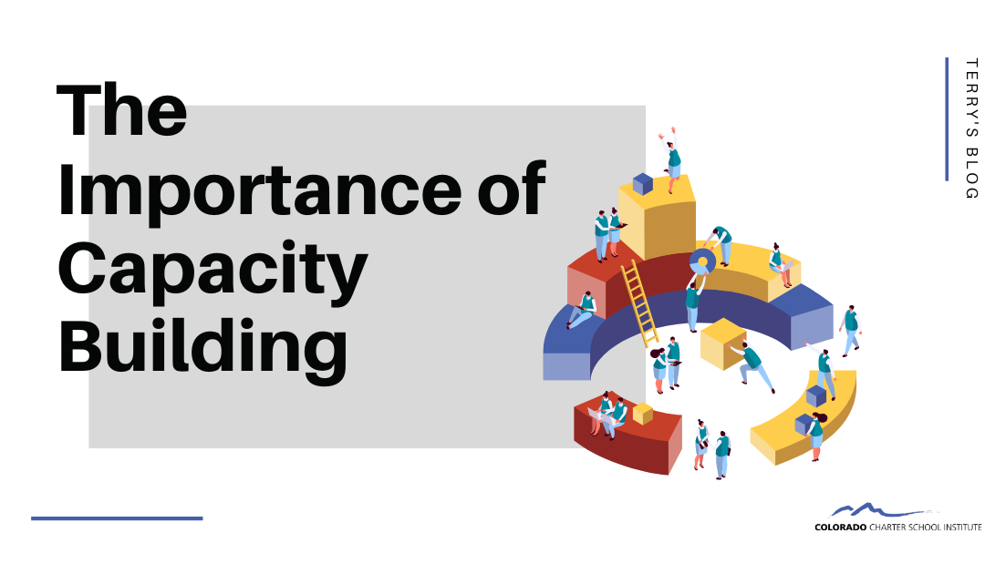 The Importance of Capacity Building
