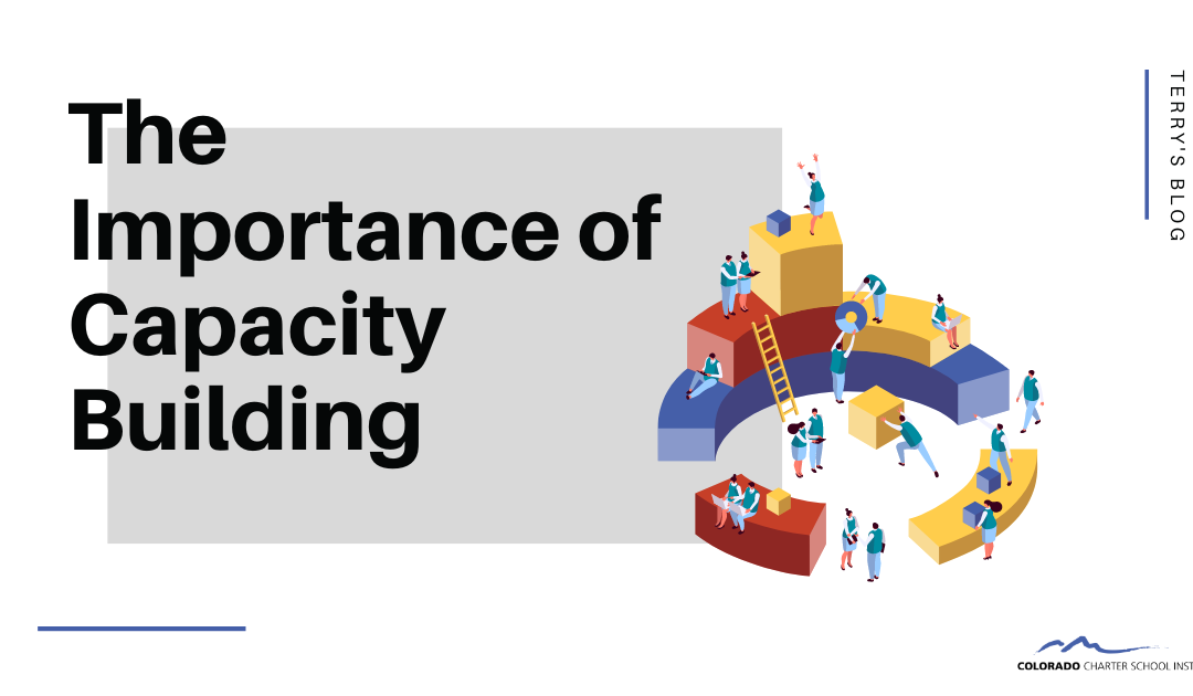 The Importance of Capacity Building