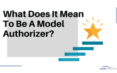What Does It Mean to Be a Model Authorizer?