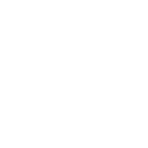 3 3